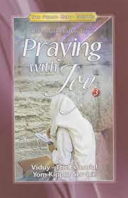 Praying with Joy 3: Understanding Viduy