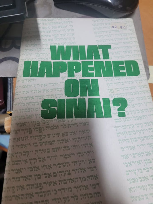 What Happened on Sinai?
