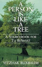 A Person is Like a Tree: A Sourcebook for Tu BsShvat