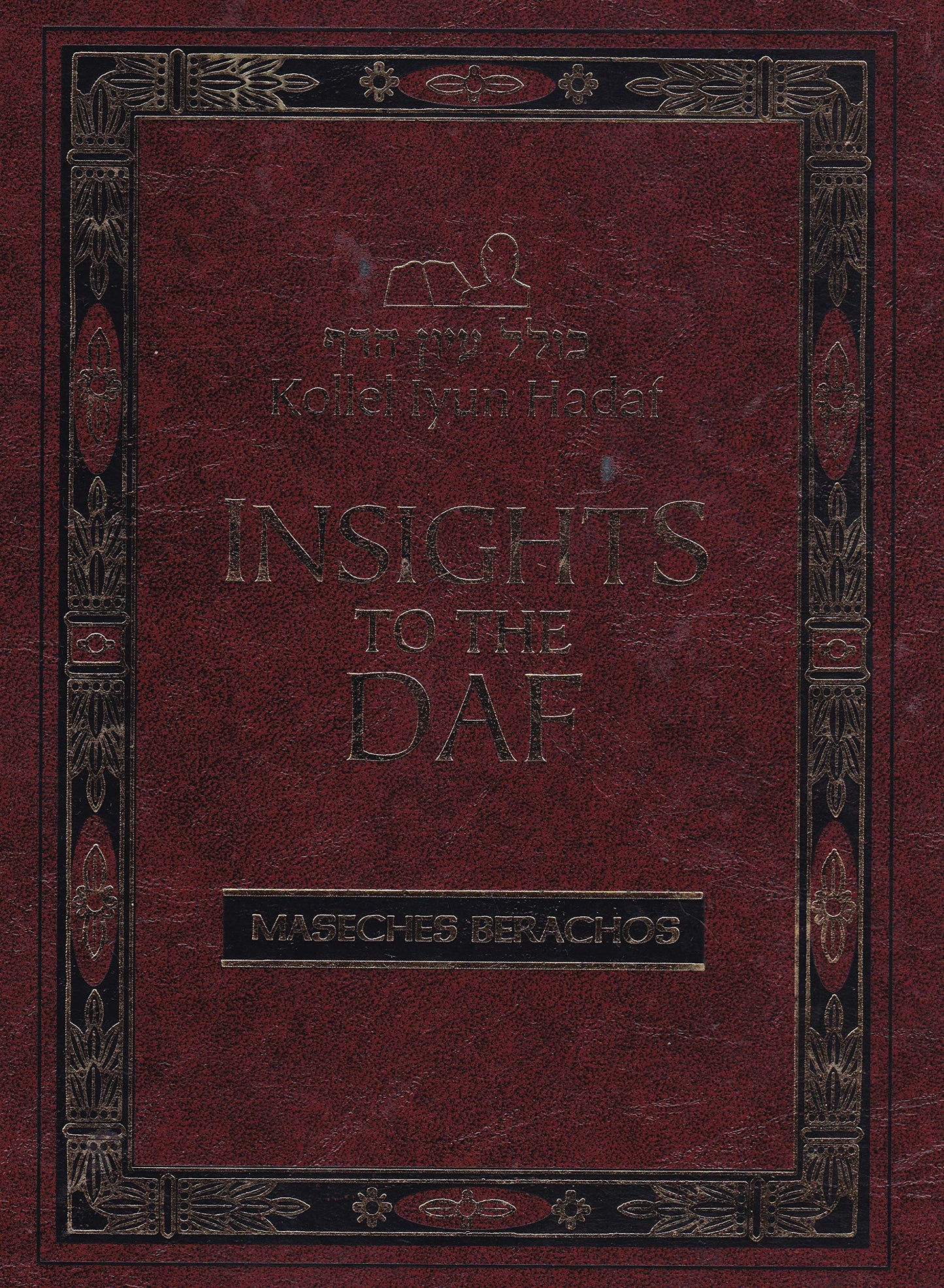 INSIGHTS TO THE DAF - ERUVIN