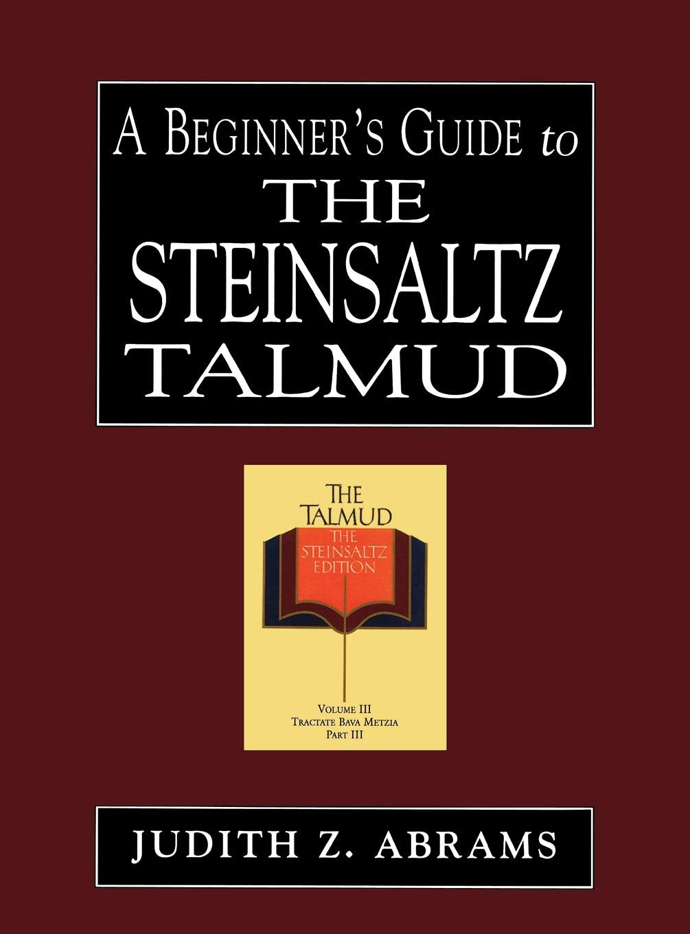 A Beginner's Guide to the Steinsaltz Talmud