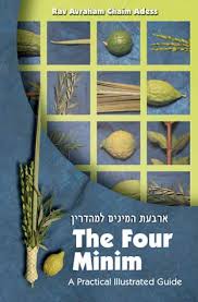 The Four Minim: A Practical Illustrated Guide