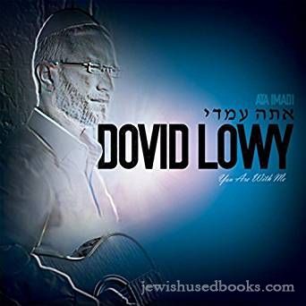 Dovid Lowy - You are with Me (CD)