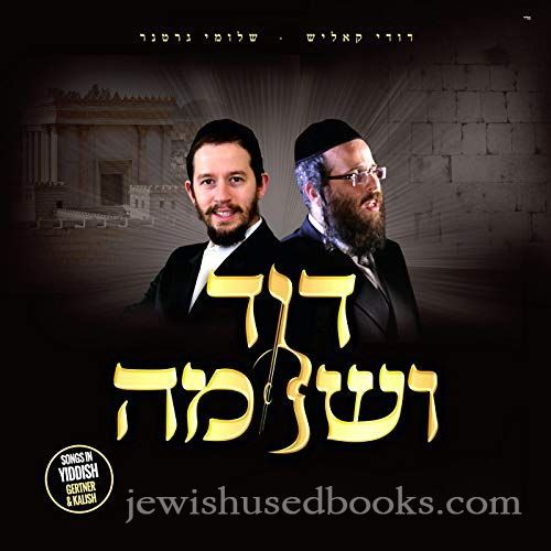 Dovid V'Shloime (CD)