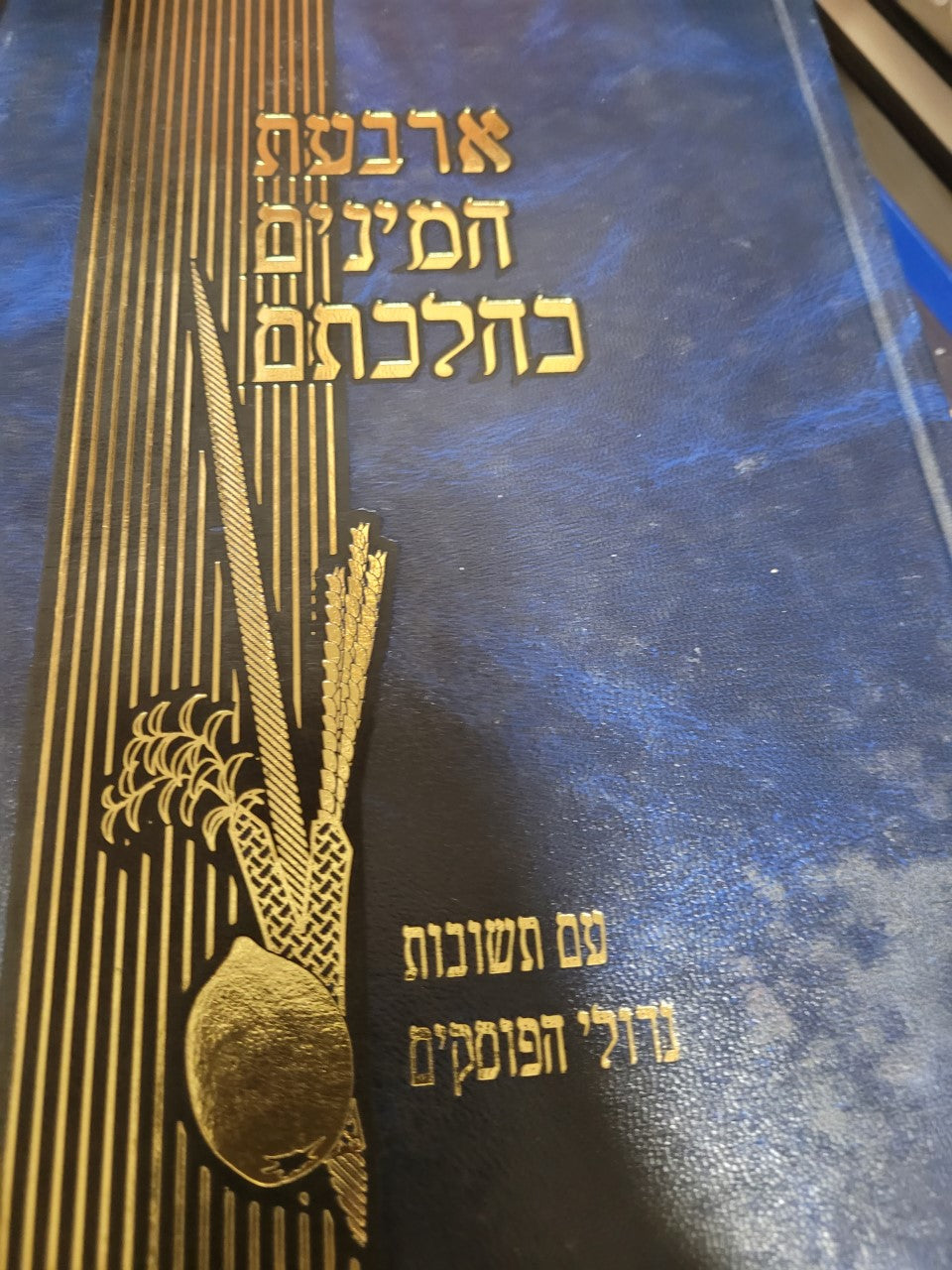 Sefer Arbaas HaMinim K™Hilchasam