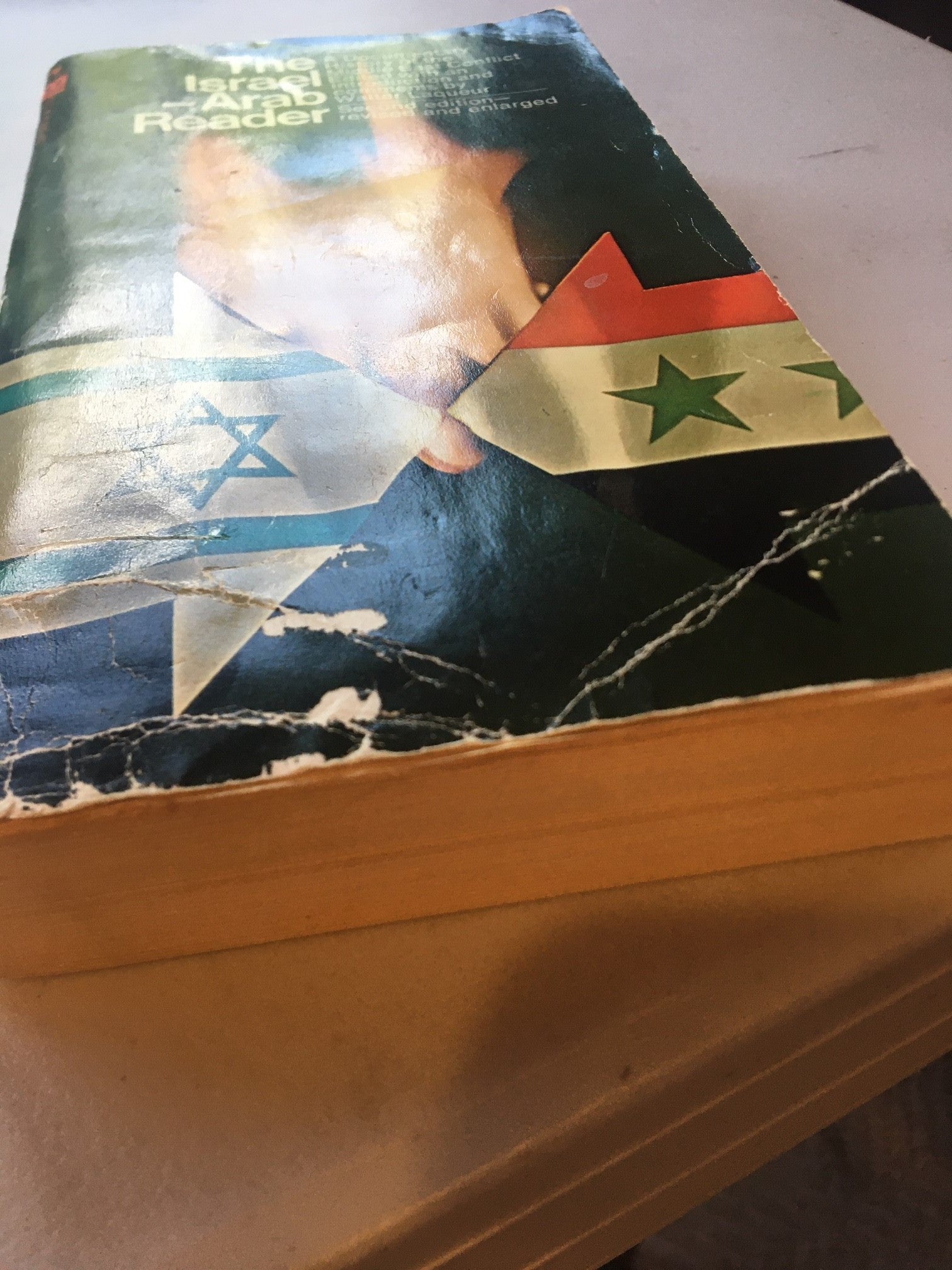 The Arab- Israeli Reader