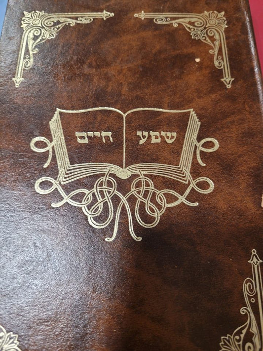 Shafa Chaim- Chanukah