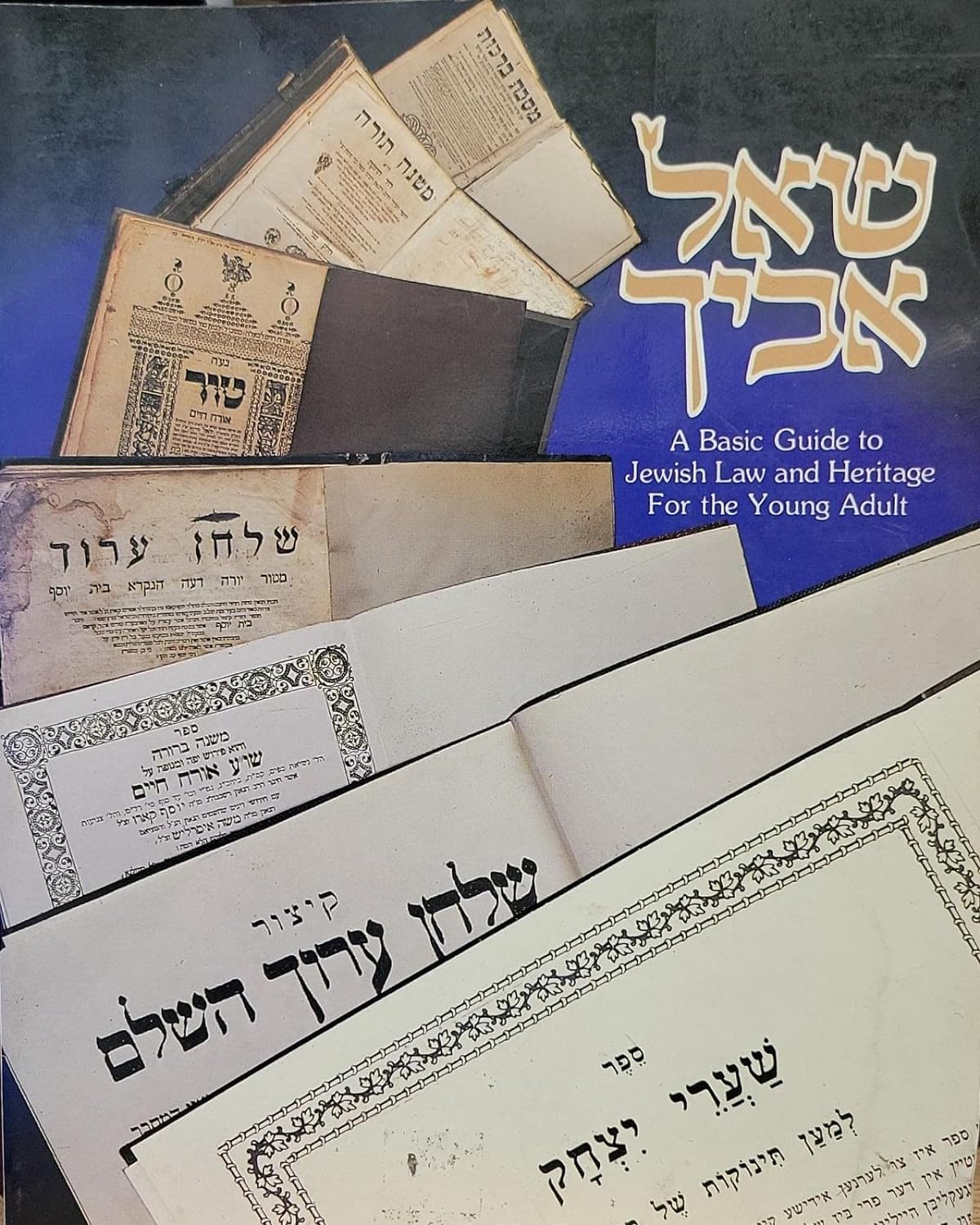 She'al Avicha: A basic guide to Jewish law and heritage- volume 1