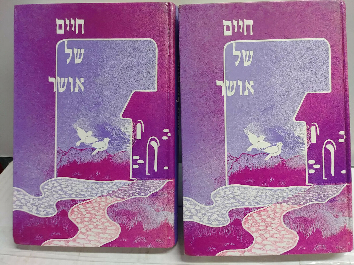 Fulfillment In Marriage: 2 volumes- HEBREW
