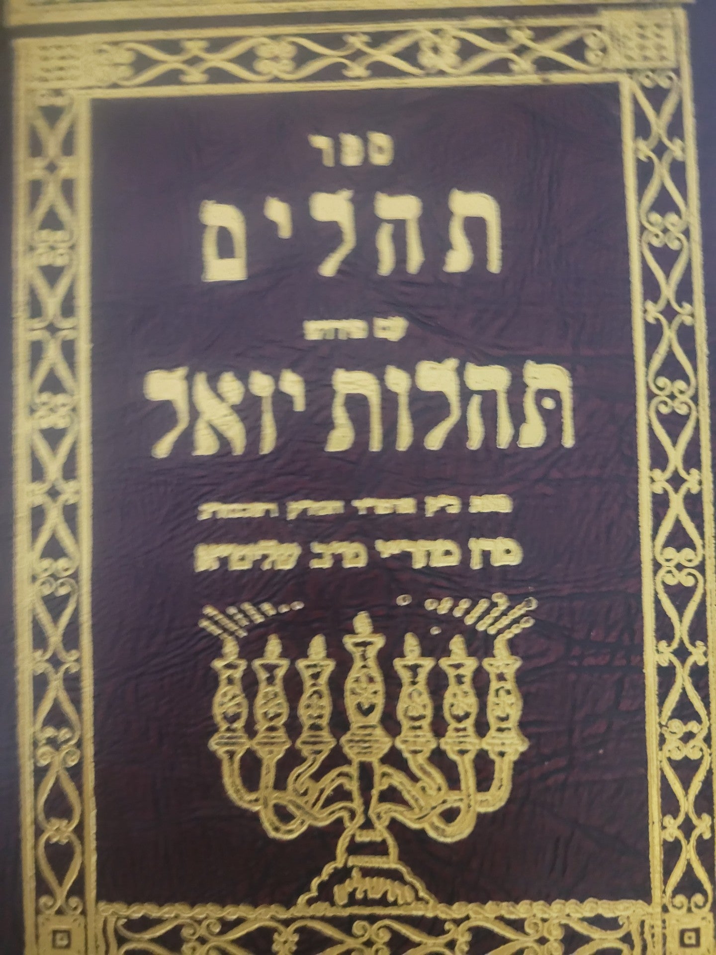 Sefer Tehllim im Pirush Tehilos Yoel