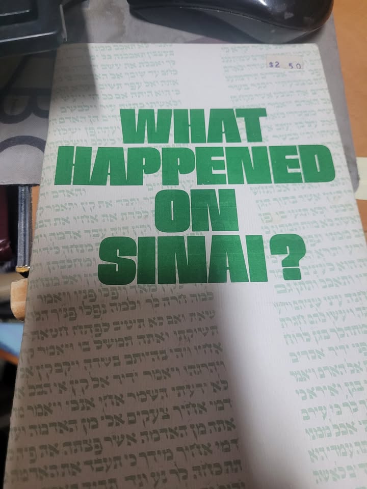What Happened on Sinai?