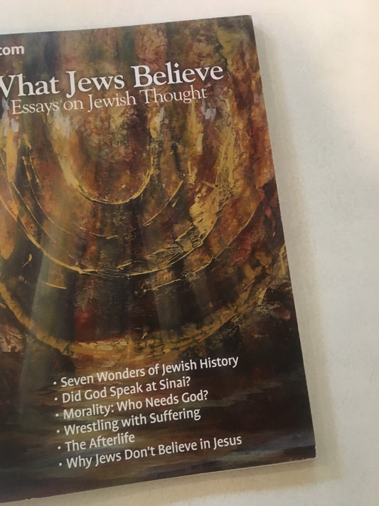 What Jews Believe: Essays on Jewish Thought