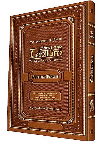 Tehillim The Schottenstein Edition [Hardcover]