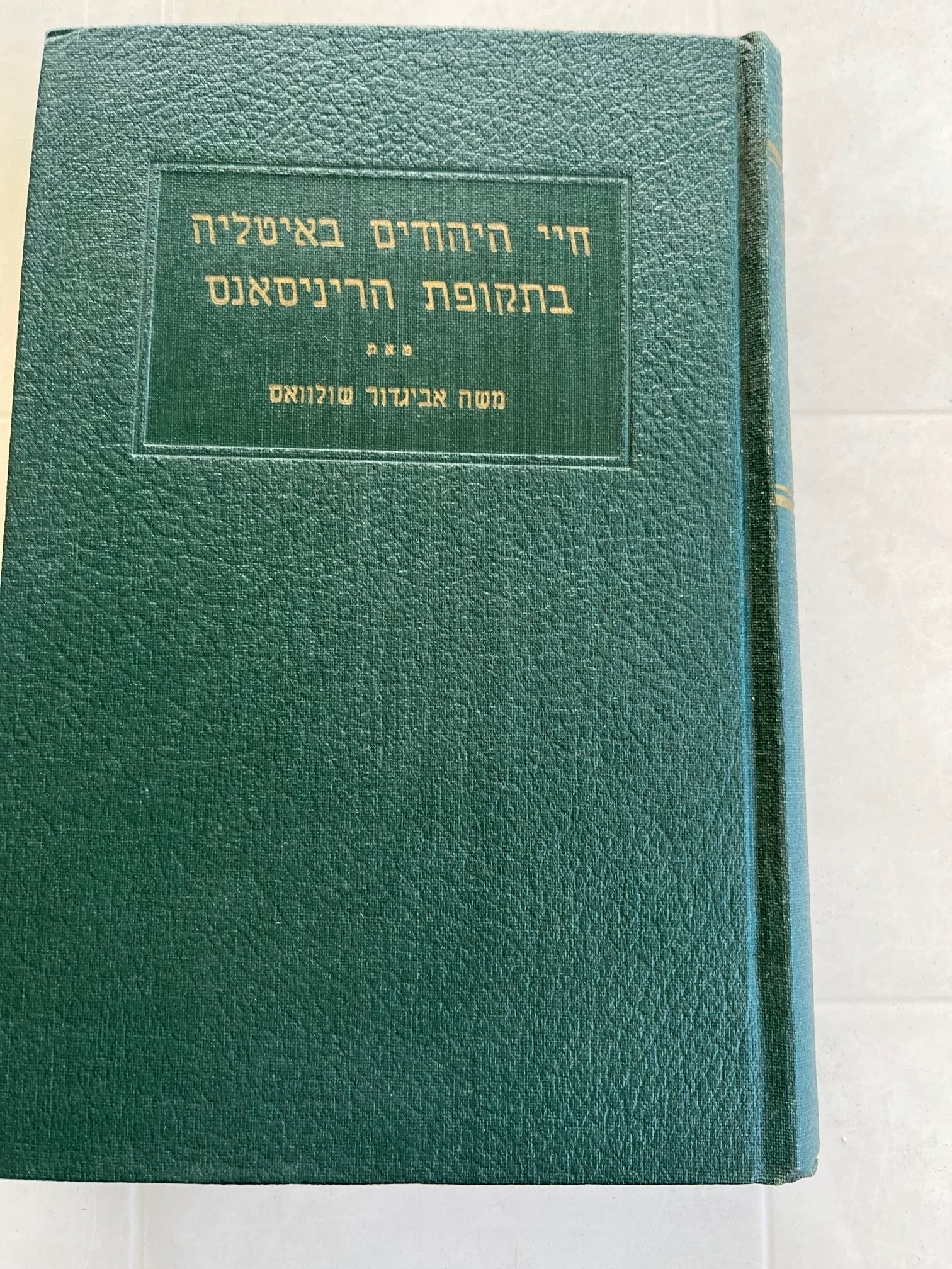 Chayei Hayehudim B'Italia B'Tekufat HaRenisans