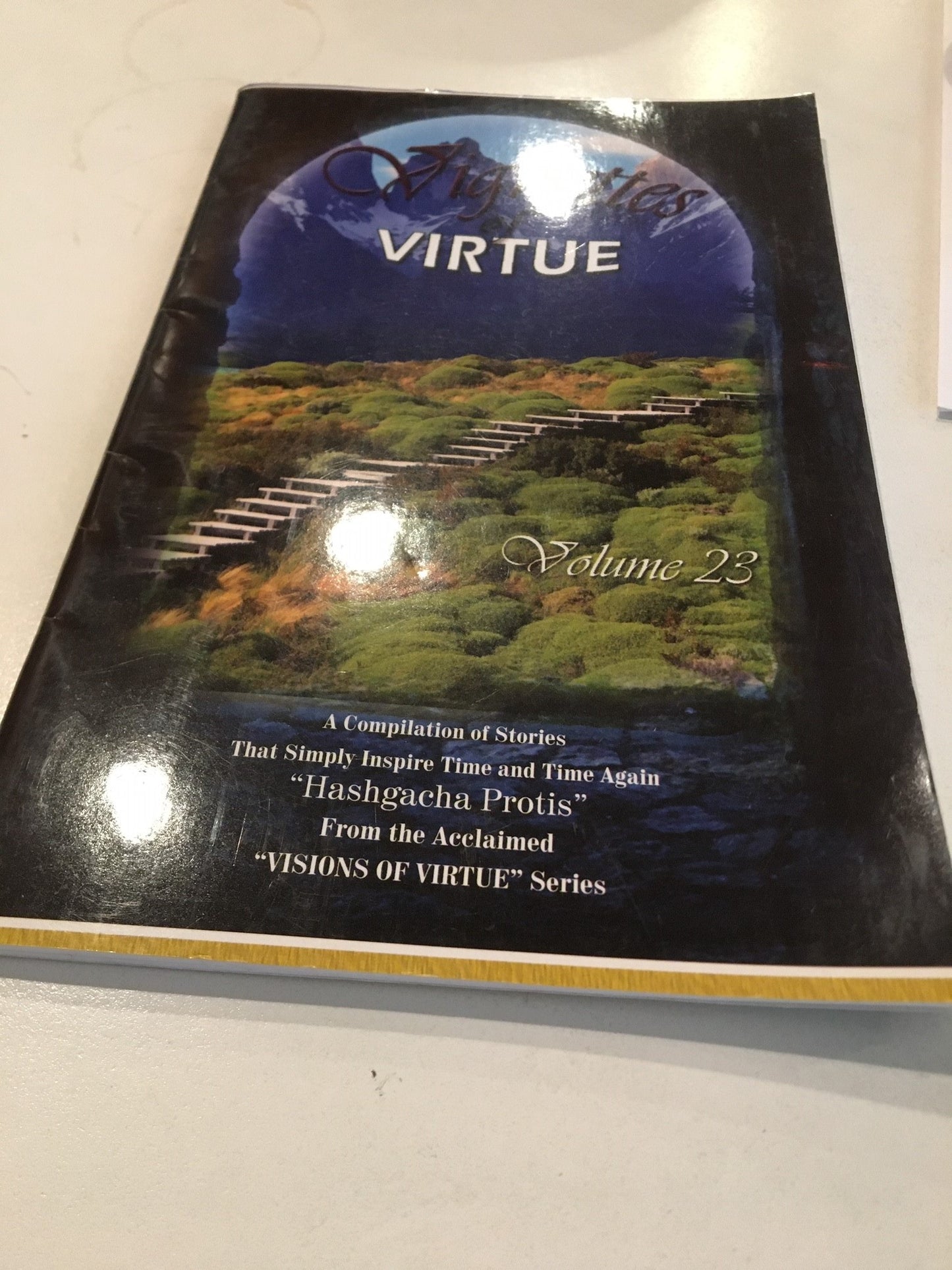 Vignettes of Virtue  #24