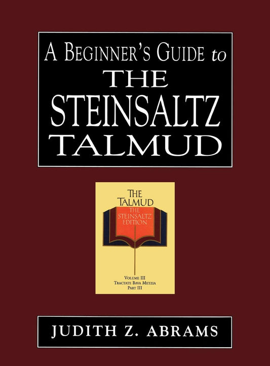 A Beginner's Guide to the Steinsaltz Talmud