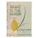 What Is The Reason Volumes 1-6