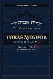 Toras  Avigdor Bereishis