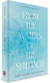 From the Waters of the Shiloach: Plumbing the Depths of Toras Izhbitz