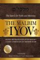 The Malbim on Iyov; The Search for Faith and Meaning; An English Translation of the Malbim's Classic Commentary on the Book of Job