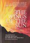 Wings of the Sun: Traditional Jewish Healing in Theory and Practice