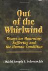 Out of the Whirlwind: Essays on Mourning, Suffering and the Human Condition (MeOtzar HoRav, 3)