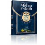 Mishna In-Depth Maseches Sukkah