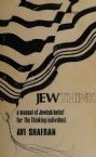 JewThink: A manual of Jewish Belief for the thinking individual